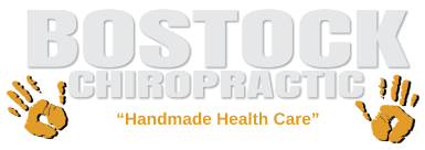 Bostock Chiropractic, Gilroy Logo